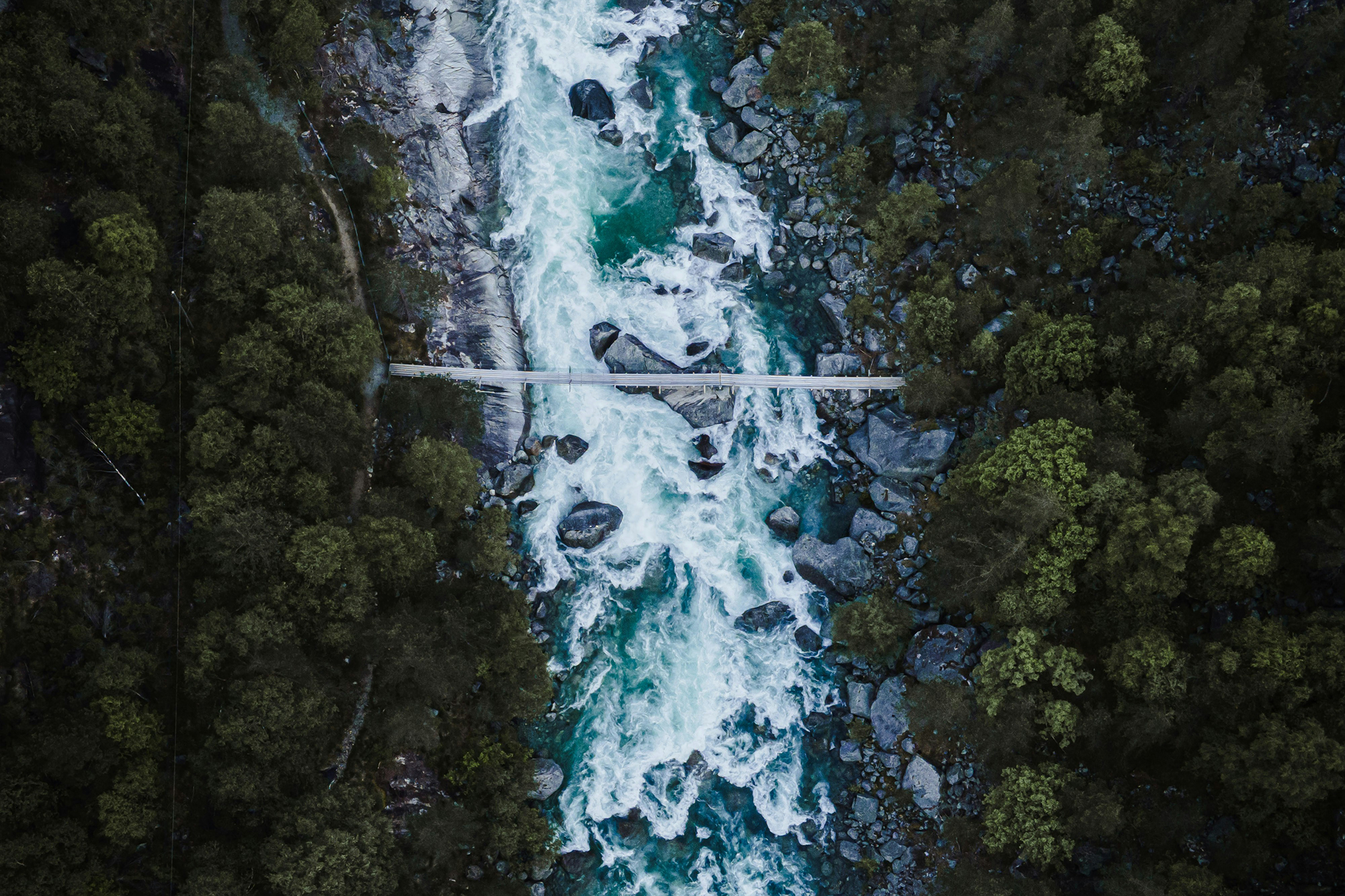 Luftaufnahme von einem wilden Fluss im Wald